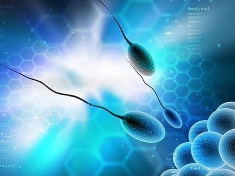 Вместо презерватива: ученые работают над мужским «генетическим контрацептивом»